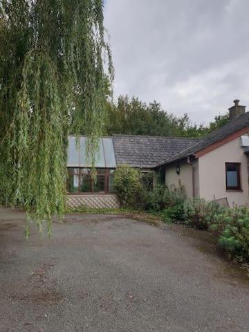 אברגאבני Willow Lodge מראה חיצוני תמונה